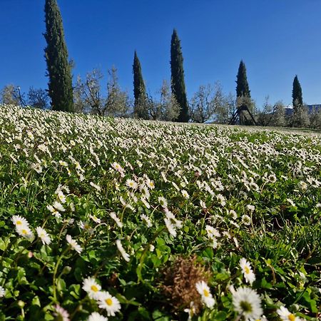 Agriturismo Val Della Pieve Anghiari Bagian luar foto