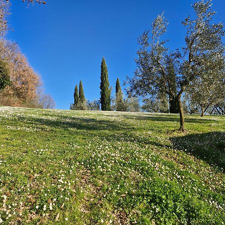 Agriturismo Val Della Pieve Anghiari Bagian luar foto