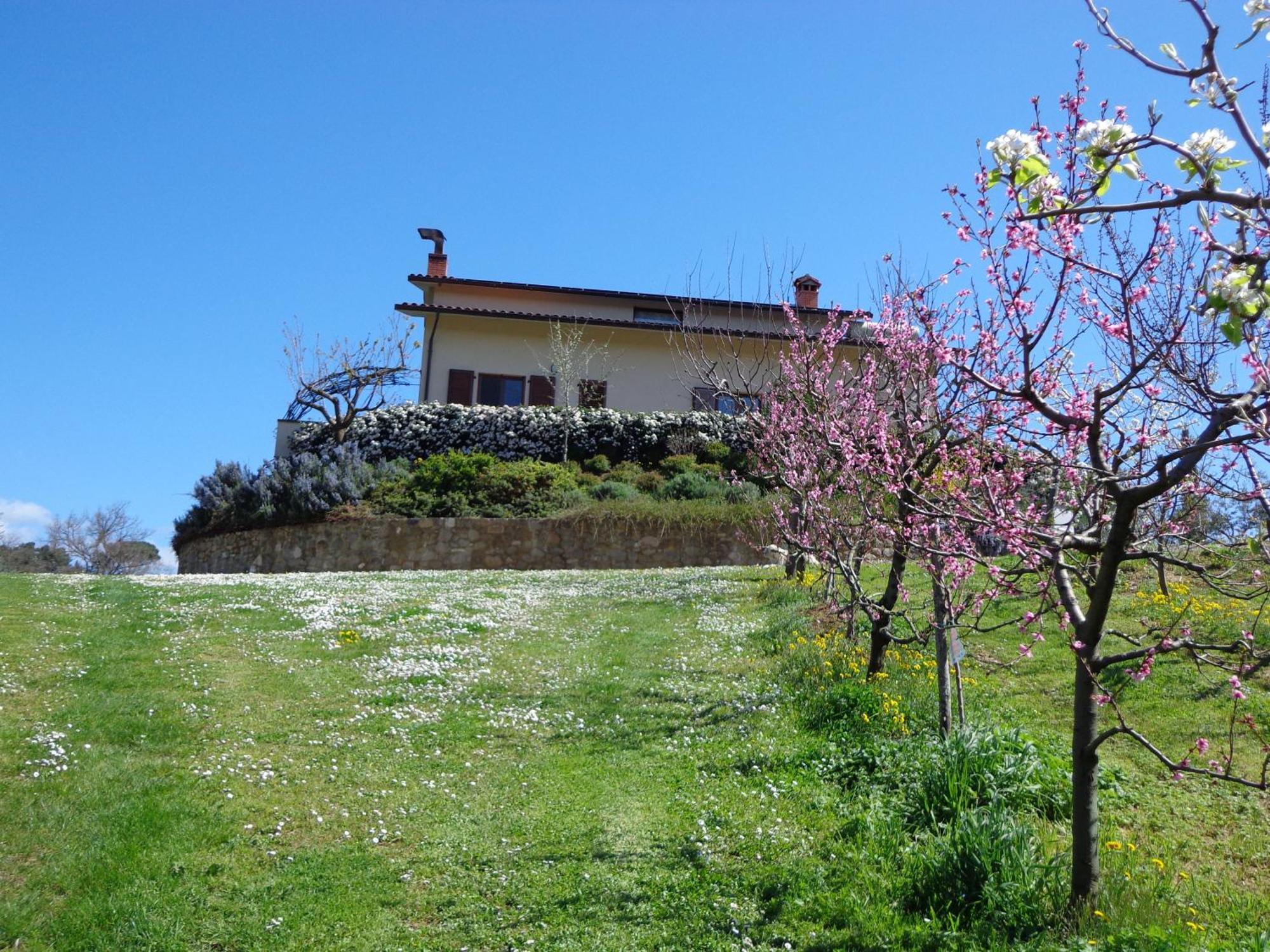 Agriturismo Val Della Pieve Anghiari Bagian luar foto