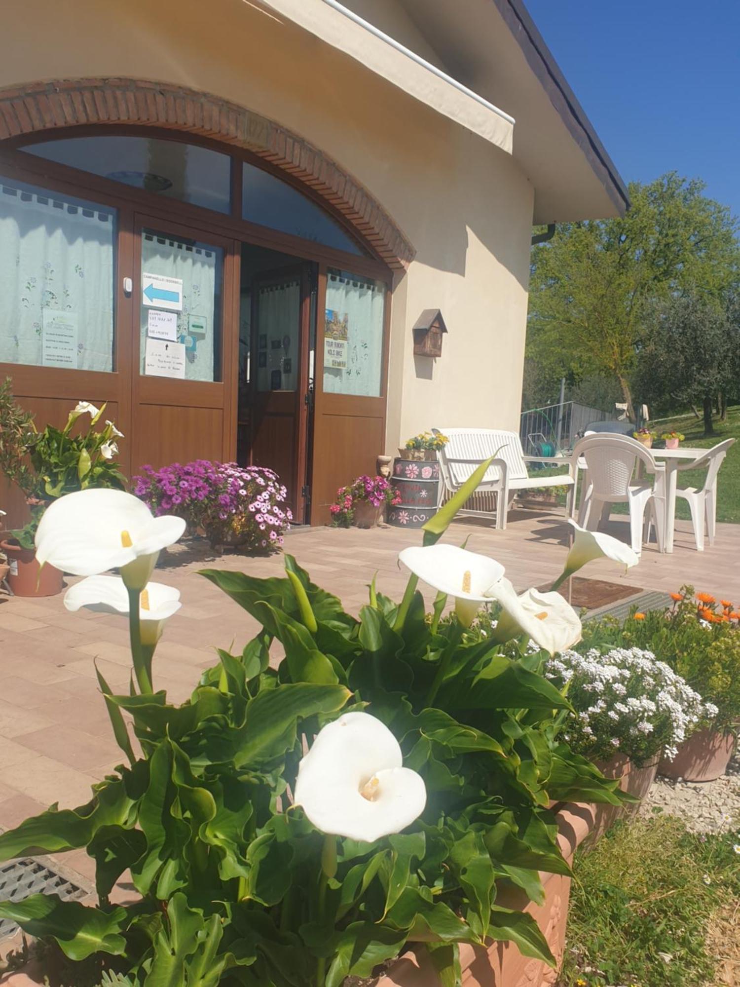 Agriturismo Val Della Pieve Anghiari Bagian luar foto