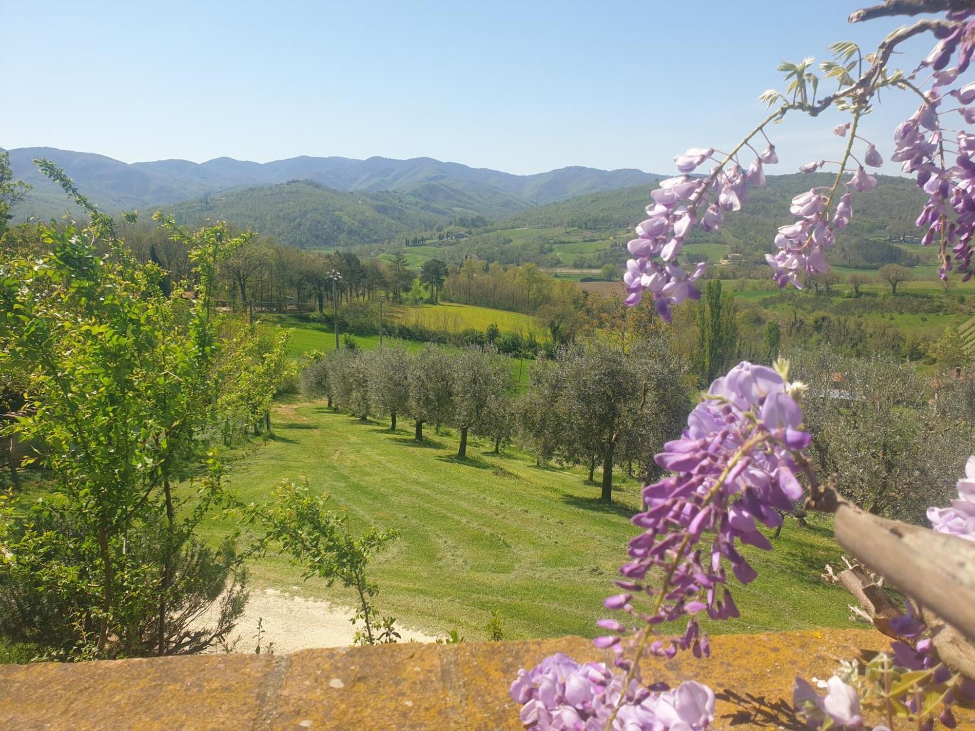 Agriturismo Val Della Pieve Anghiari Bagian luar foto