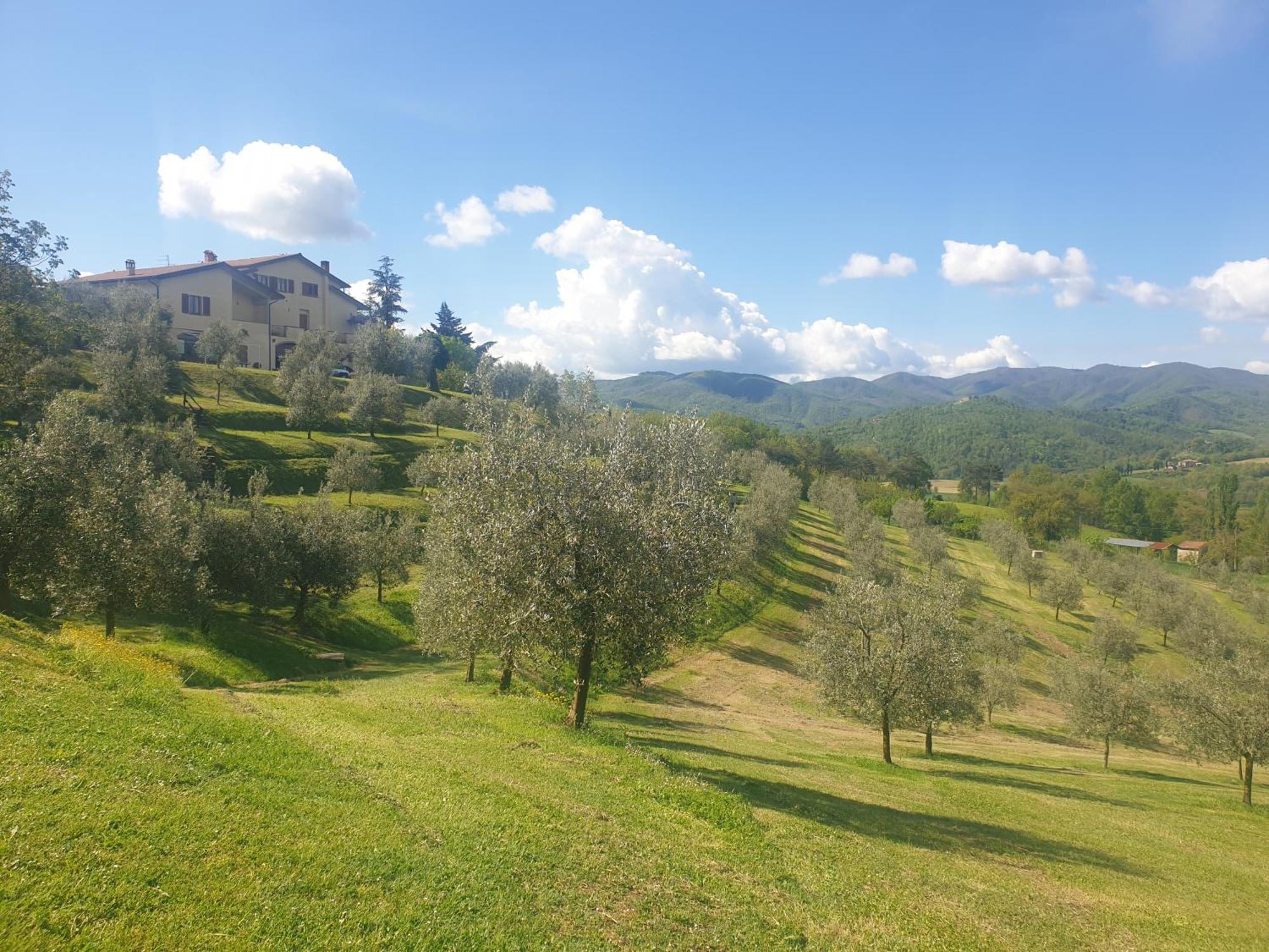 Agriturismo Val Della Pieve Anghiari Bagian luar foto
