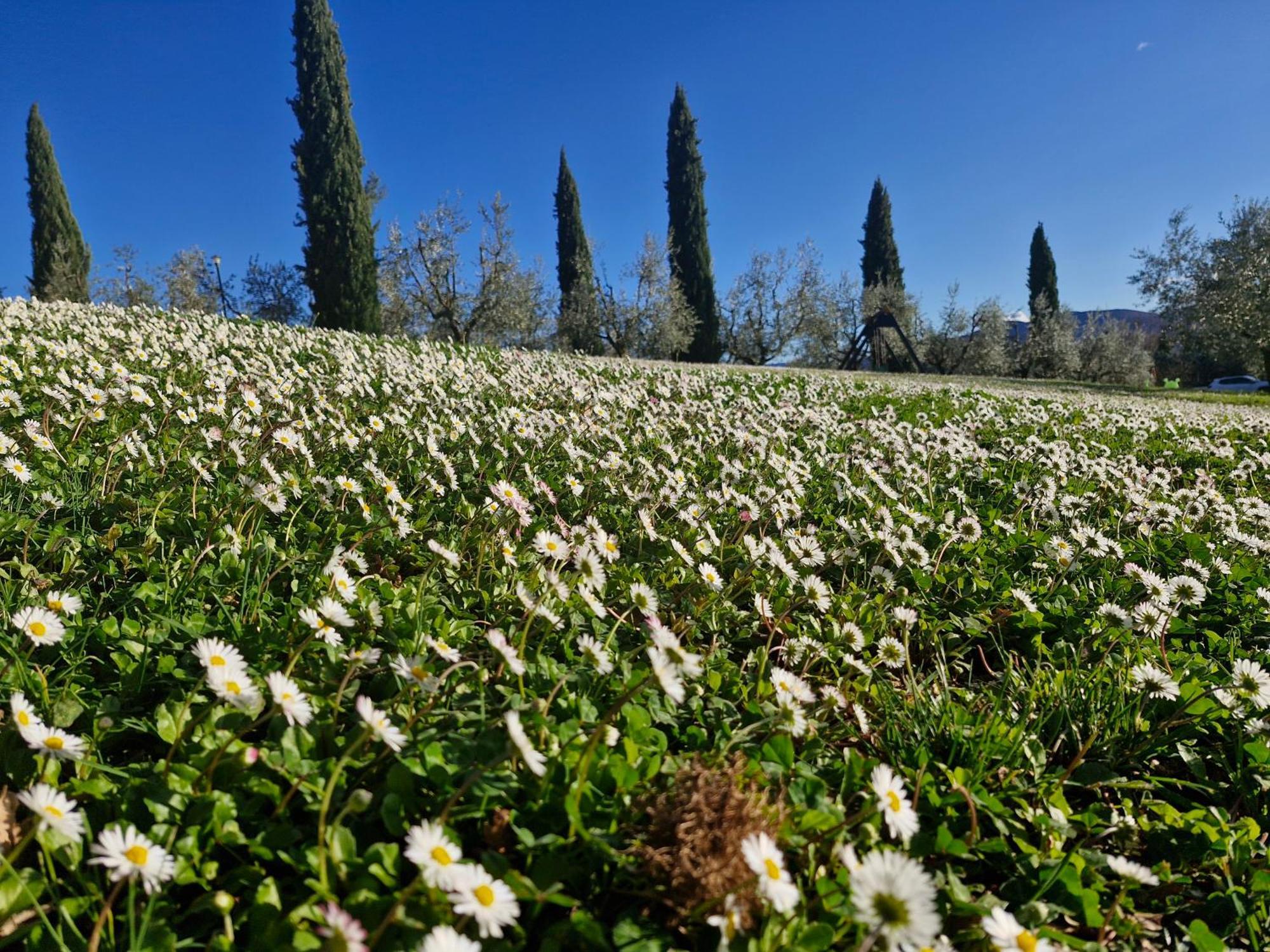 Agriturismo Val Della Pieve Anghiari Bagian luar foto
