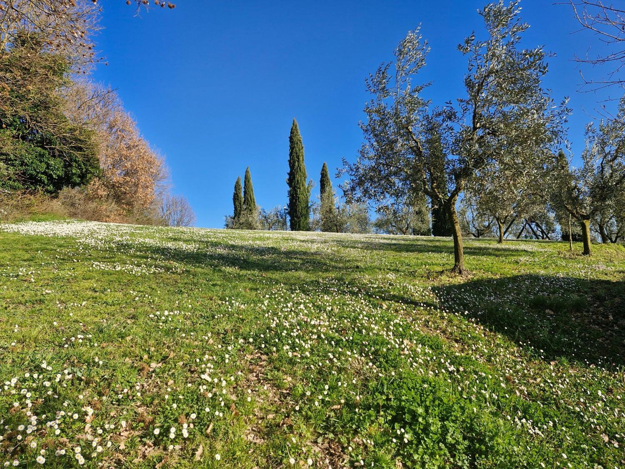 Agriturismo Val Della Pieve Anghiari Bagian luar foto